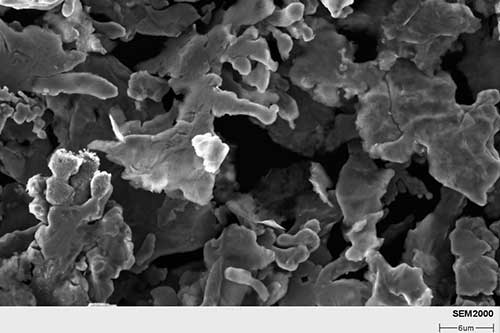 树枝状/金包银/银包树脂